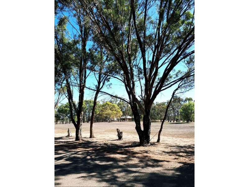 1 Sheoak Road, Springfield WA 6525