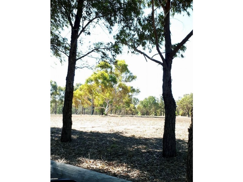 1 Sheoak Road, Springfield WA 6525