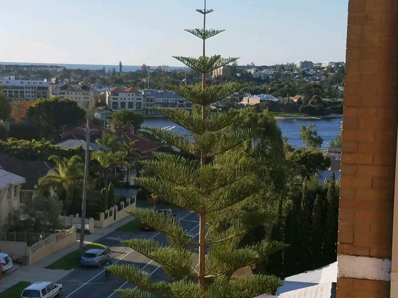 44/46 East Street, East Fremantle WA 6158