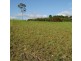 29 Marsupial Drive, Pottsville NSW 2489