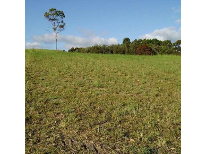 29 Marsupial Drive, Pottsville NSW 2489