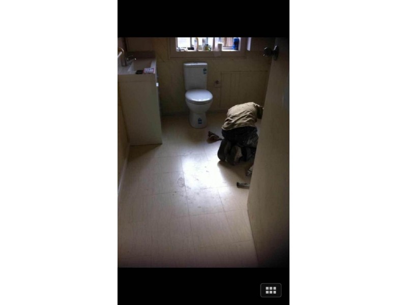 19 Curtain Street, Kingsbury VIC 3083