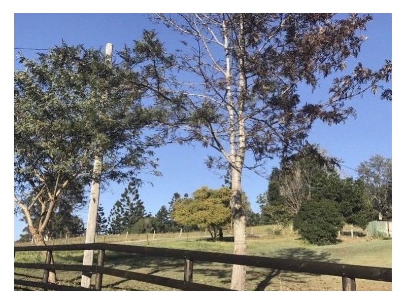 65A Skene Road, Wolffdene QLD 4207