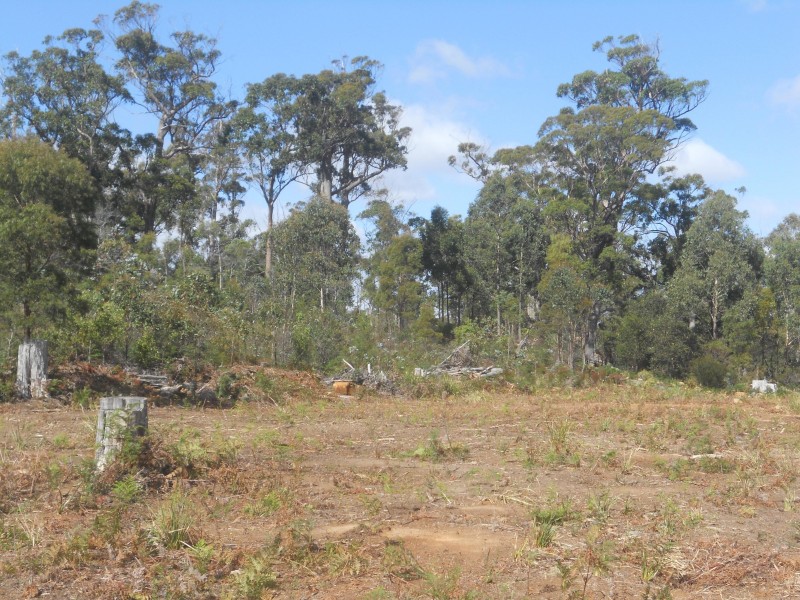 887 Lilydale Road, Underwood TAS 7268