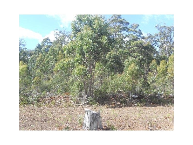 887 Lilydale Road, Underwood TAS 7268
