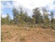 887 Lilydale Road, Underwood TAS 7268