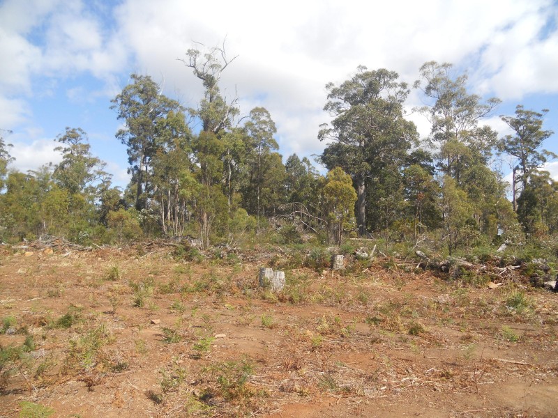 887 Lilydale Road, Underwood TAS 7268