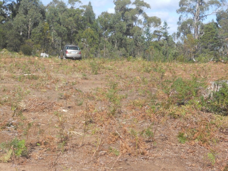 887 Lilydale Road, Underwood TAS 7268