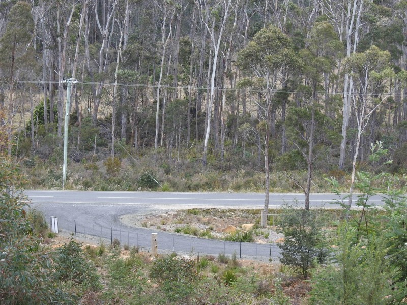 887 Lilydale Road, Underwood TAS 7268