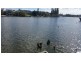 17 Cedar Place, Broadbeach Waters QLD 4218
