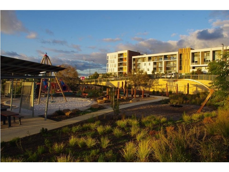 50/16 Midgegooroo Avenue, Cockburn Central WA 6164