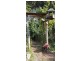 198 Clarence Street, Howrah TAS 7018