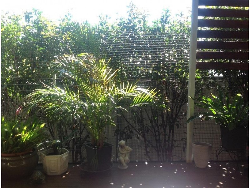 2/121 Locke Street, Warwick QLD 4370