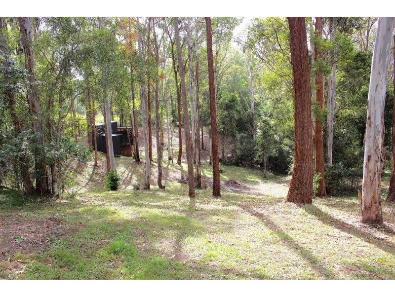 * Oxley Highway, Wauchope NSW 2446