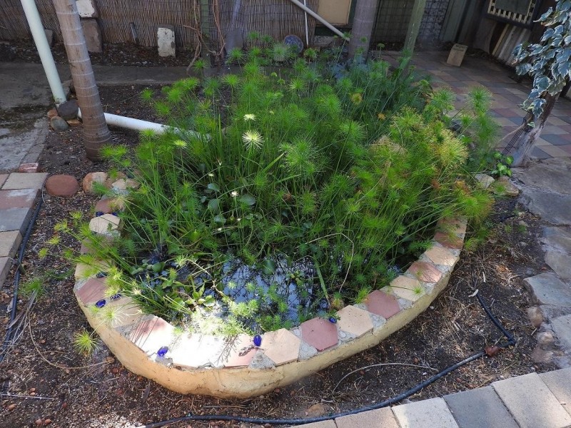 3 Taylor Street, Northam WA 6401