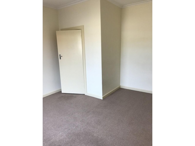 37 Colton Avenue, Magill SA 5072