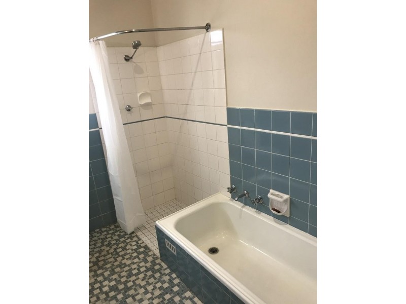 37 Colton Avenue, Magill SA 5072