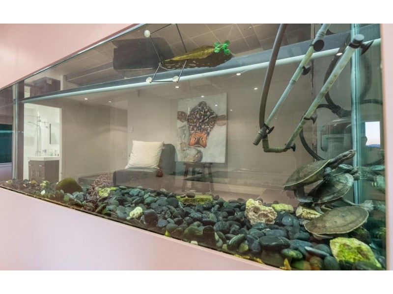 23 Castle Hill Street, Holland Park West QLD 4121