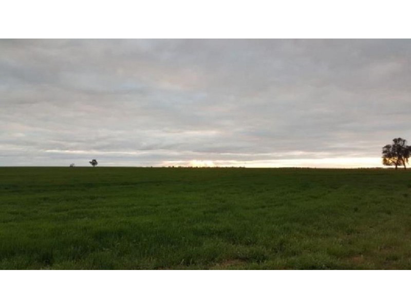 * Hodgson Road, Swanwater VIC 3477