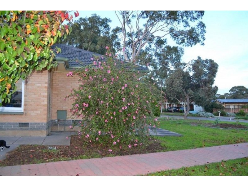 1 Hamish Grove, Rostrevor SA 5073