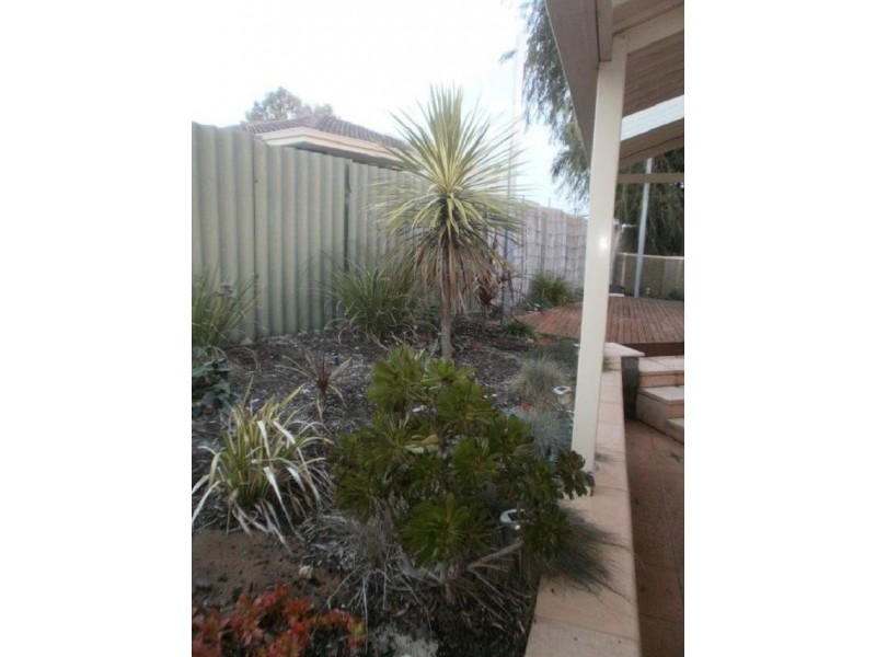 8 Tay Place, Hamersley WA 6022