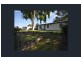 11 Nerine Street, Kingston QLD 4114