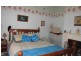 * Schoolhouse Road, Nackara SA 5440