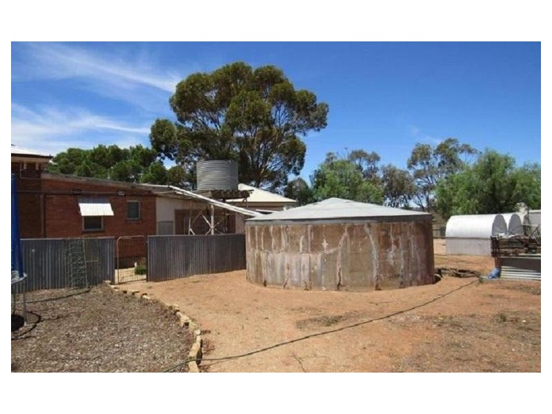 * Schoolhouse Road, Nackara SA 5440
