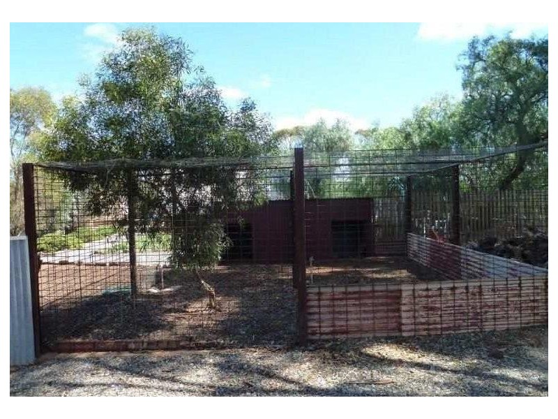* Schoolhouse Road, Nackara SA 5440