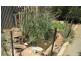 * Schoolhouse Road, Nackara SA 5440
