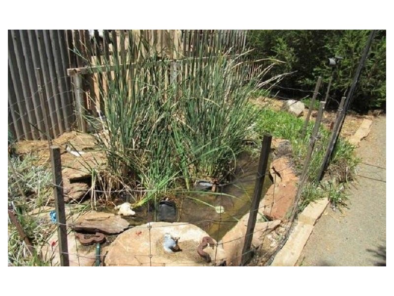 * Schoolhouse Road, Nackara SA 5440