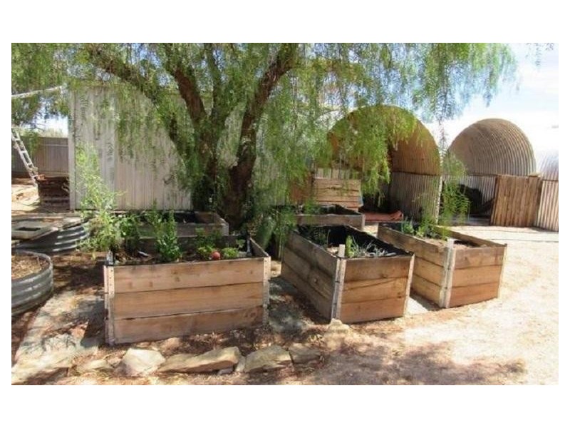 * Schoolhouse Road, Nackara SA 5440