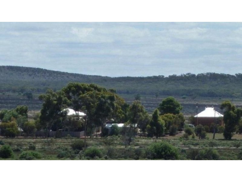 * Schoolhouse Road, Nackara SA 5440