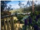 32 Fortescue Bay Road, Port Arthur TAS 7182