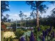 32 Fortescue Bay Road, Port Arthur TAS 7182
