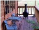 1102 Halls Track Road, Pelverata TAS 7150