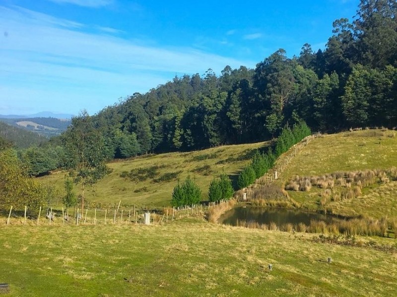 1102 Halls Track Road, Pelverata TAS 7150