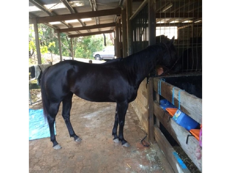 89 Gaudrons Road, Sapphire Beach NSW 2450