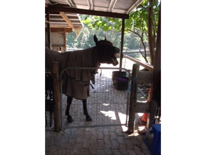 89 Gaudrons Road, Sapphire Beach NSW 2450