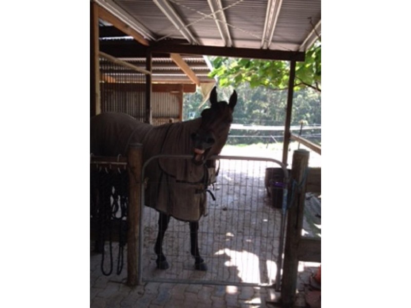 89 Gaudrons Road, Sapphire Beach NSW 2450