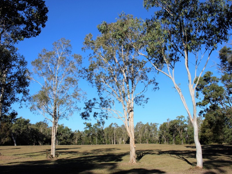 64 Lancaster Lane, Cooroibah QLD 4565