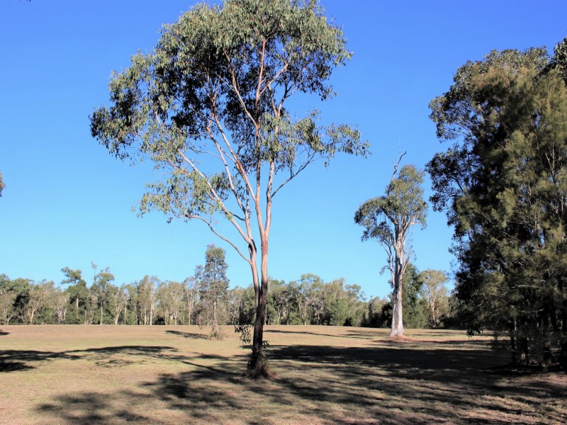 64 Lancaster Lane, Cooroibah QLD 4565