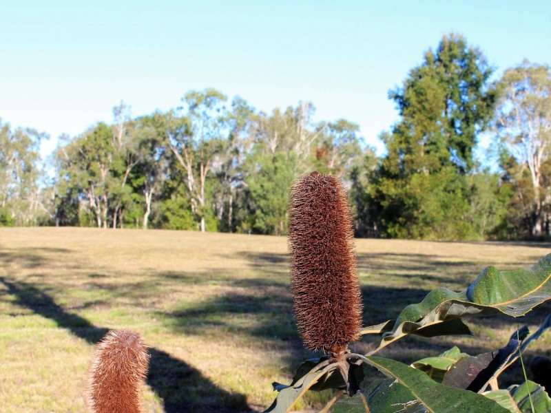 64 Lancaster Lane, Cooroibah QLD 4565