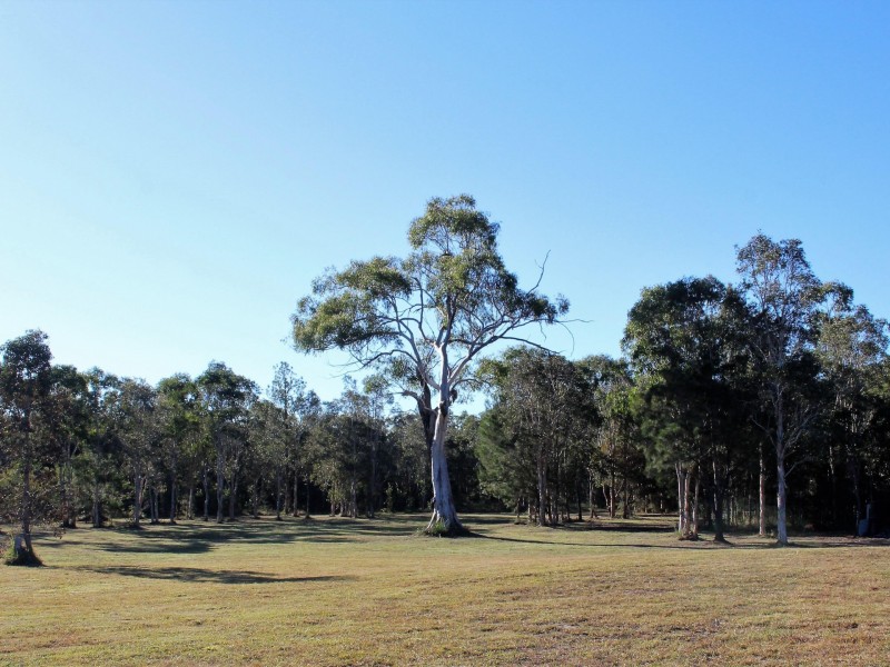 64 Lancaster Lane, Cooroibah QLD 4565