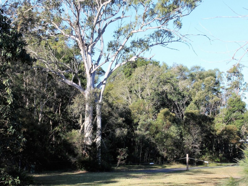 64 Lancaster Lane, Cooroibah QLD 4565