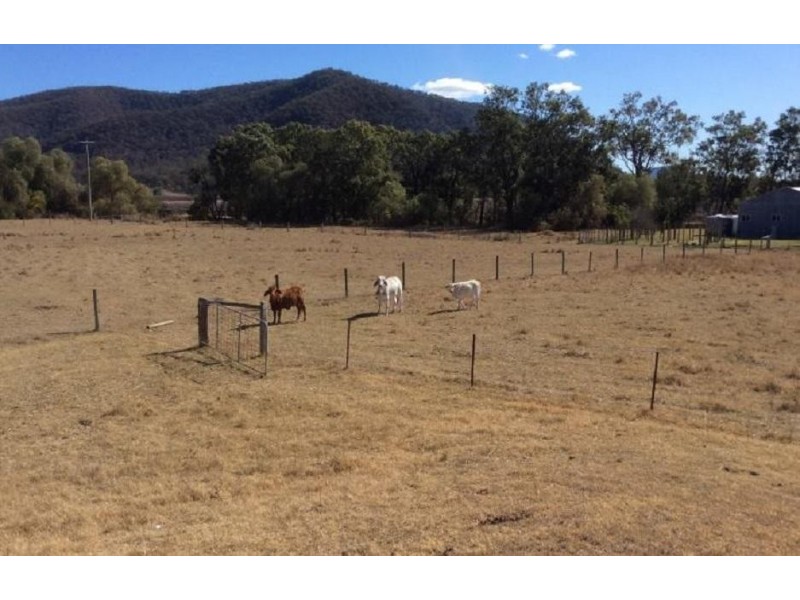 807 Milbrodale Road, Broke NSW 2330