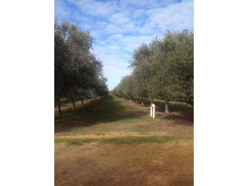 3550 Wangaratta-Yarrawonga Road, Esmond VIC 3730