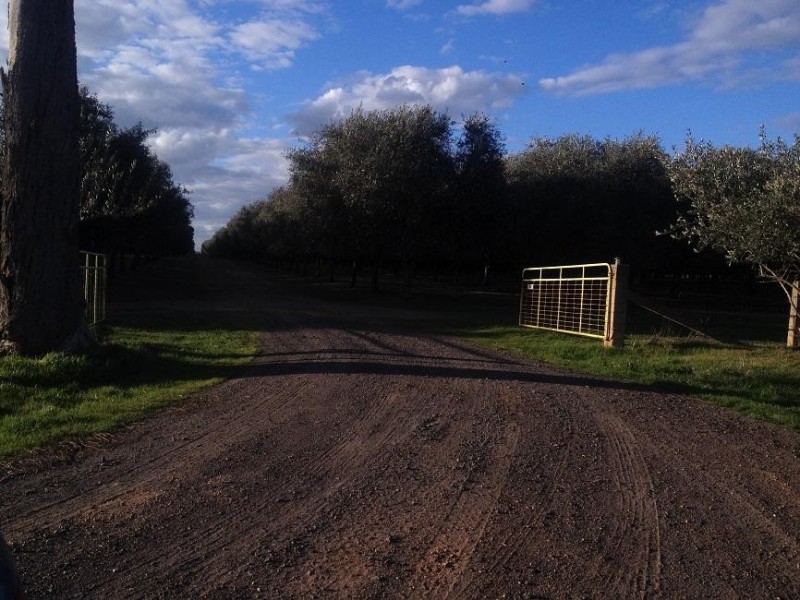 3550 Wangaratta-Yarrawonga Road, Esmond VIC 3730