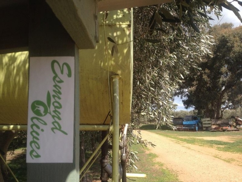 3550 Wangaratta-Yarrawonga Road, Esmond VIC 3730