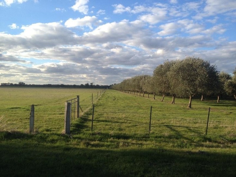 3550 Wangaratta-Yarrawonga Road, Esmond VIC 3730